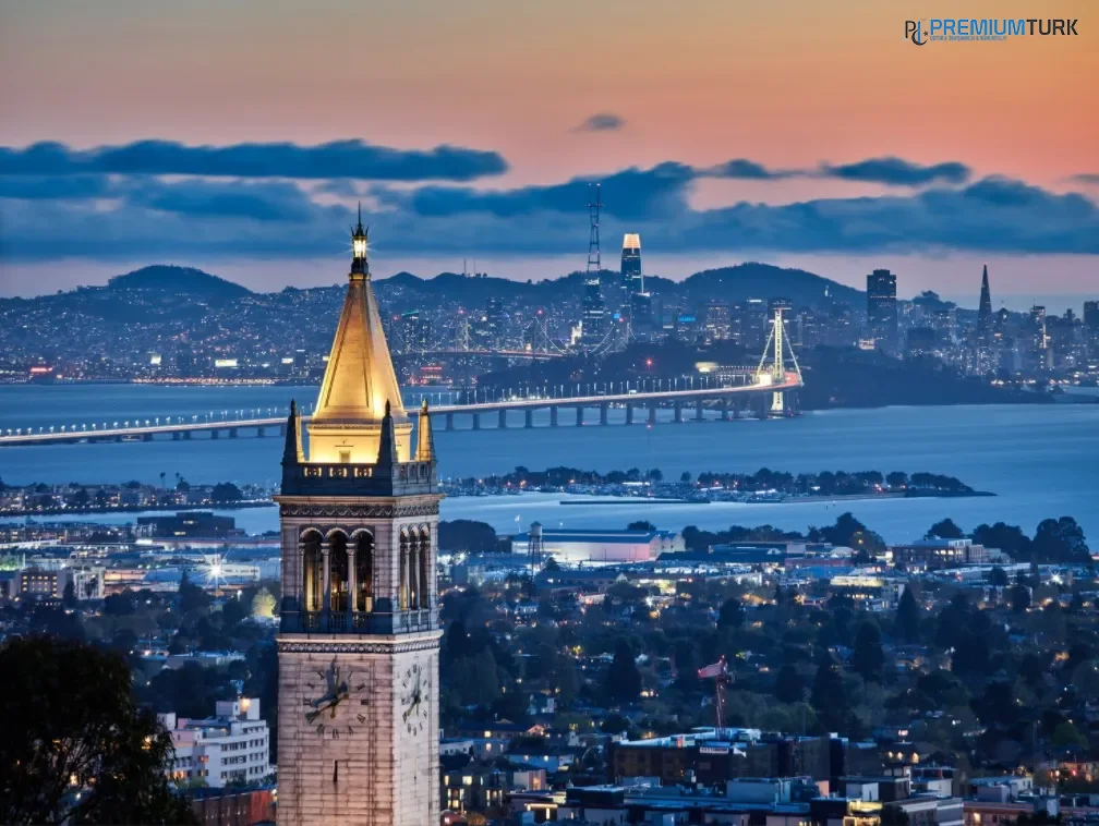 Amerika / Berkeley Dil Eğitimi