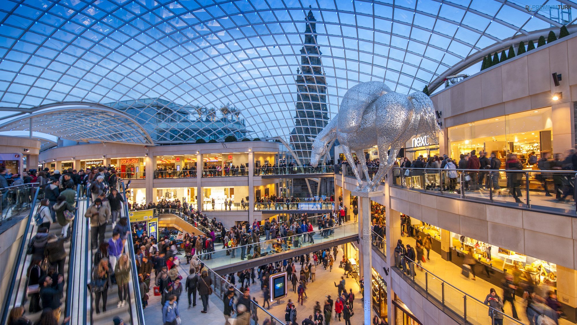 İngiltere / Leeds Dil Eğitimi